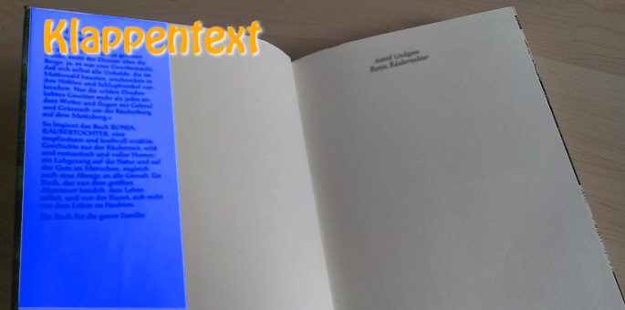 Der Klappentext auf dem eingeklappten Schutzumschlag eines Buches