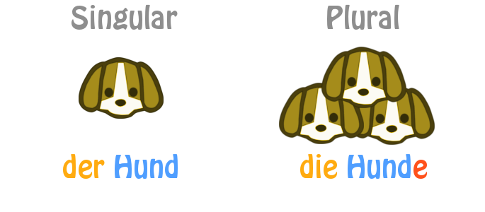 Numerus: Singular und Plural bestimmen die Wortform und die Begleiter des Nomens
